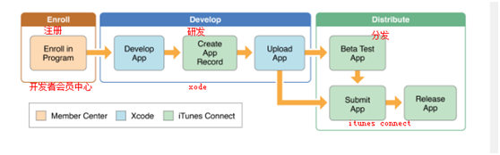 APP